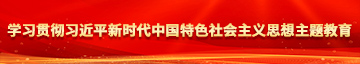 小屌干小逼学习贯彻习近平新时代中国特色社会主义思想主题教育